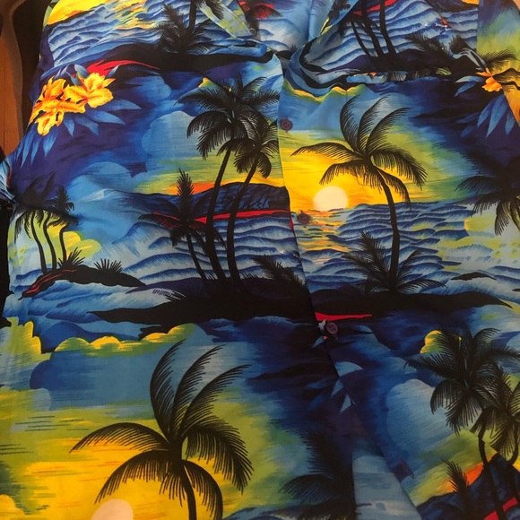 EUC Gorgeous Paradise Clothing Rare Vintage mens Hawaiian Shirt in Size Large!! - Picture 6 of 7